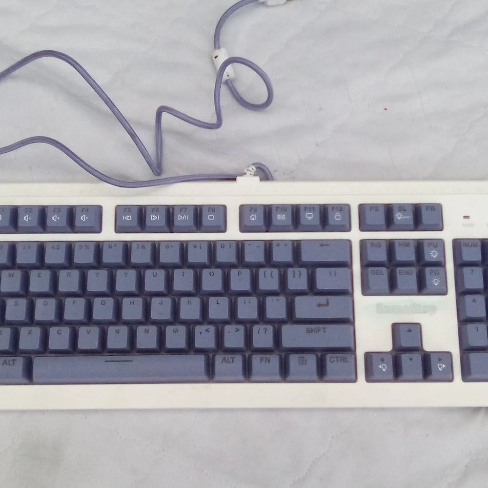 Classic White and Blue Wired Keyboard
